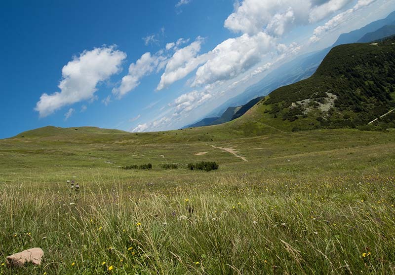 Eigenaardig landschap